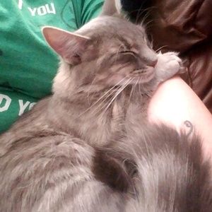 Meet your Posher, Mandy